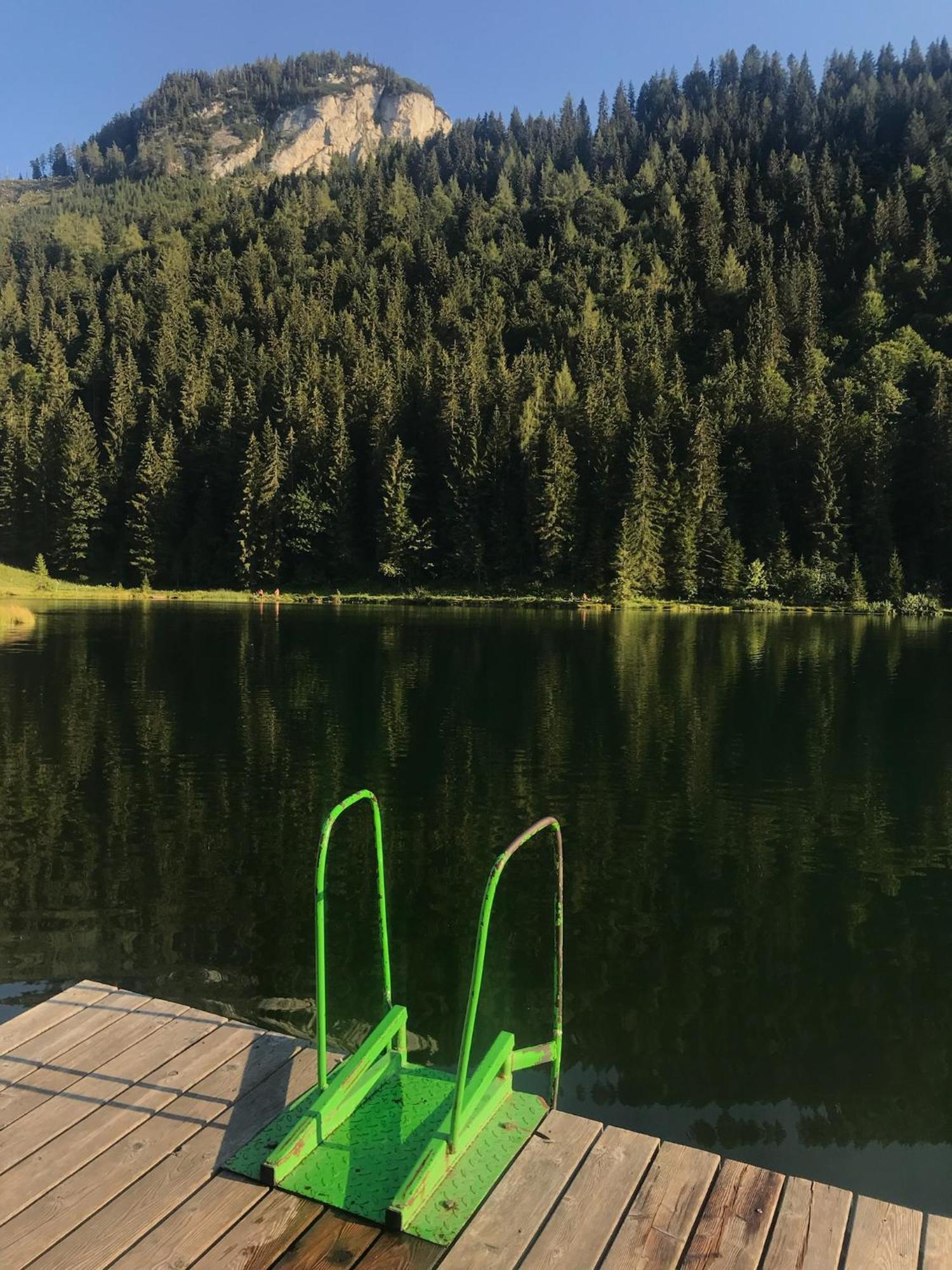Vila Haus Grimmingblick Zlem Exteriér fotografie