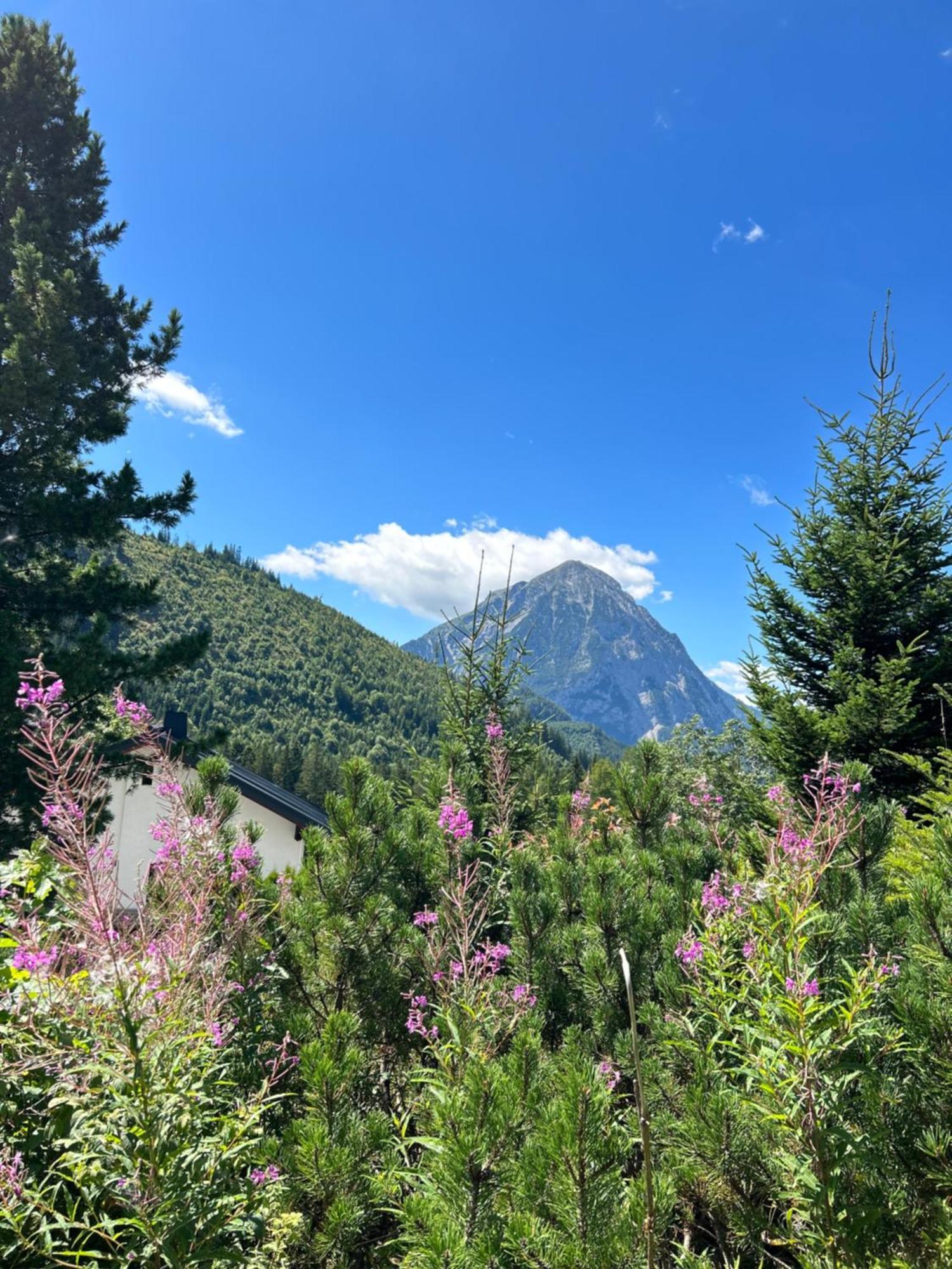 Vila Haus Grimmingblick Zlem Exteriér fotografie