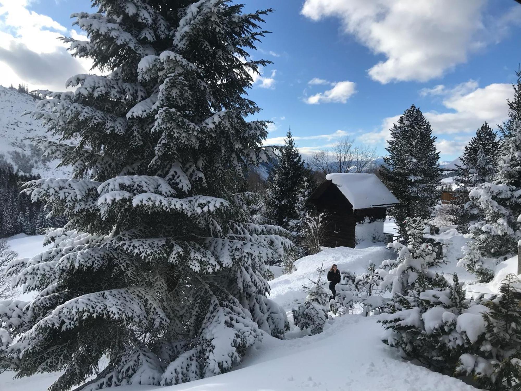 Vila Haus Grimmingblick Zlem Exteriér fotografie